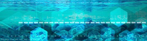 国立研究開発法人海洋研究開発機構様